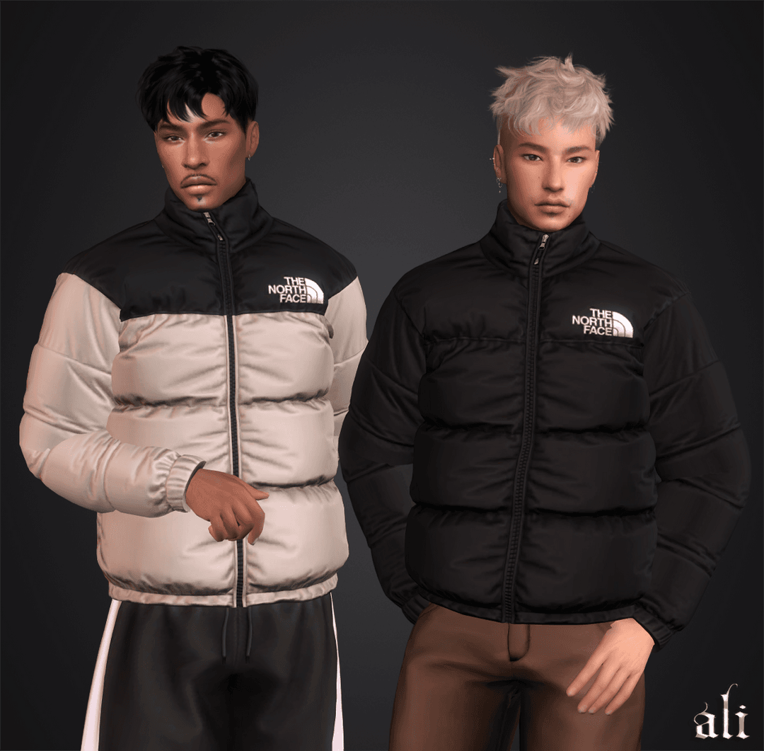 Скриншот мода мужская куртка THE NORTH FACE